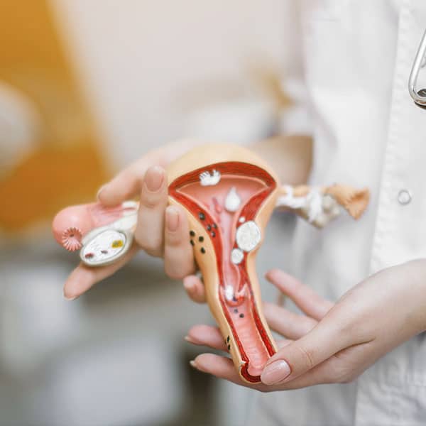 Hysteroscopy in Fort Myers and Naples
